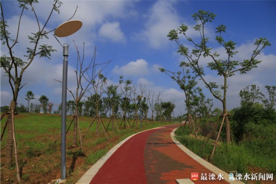 南京今年干旱嚴重，南京綠化公司為保衛綠色家園辛苦工作